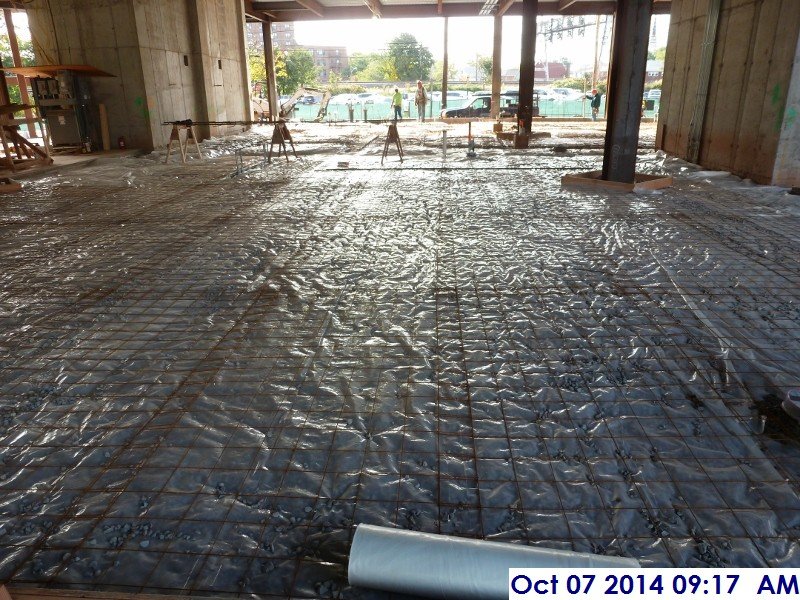 Finished installing wire mesh at the slab on grade Facing South (800x600)